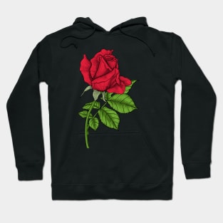 Red rose Hoodie